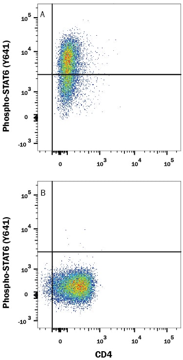 Detection of STAT6 antibody in Human peripheral blood mononuclear cells (PBMCs) antibody by Flow Cytometry.