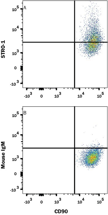 Detection of STRO-1 antibody in Human Mesenchymal Stem Cells antibody by Flow Cytometry.