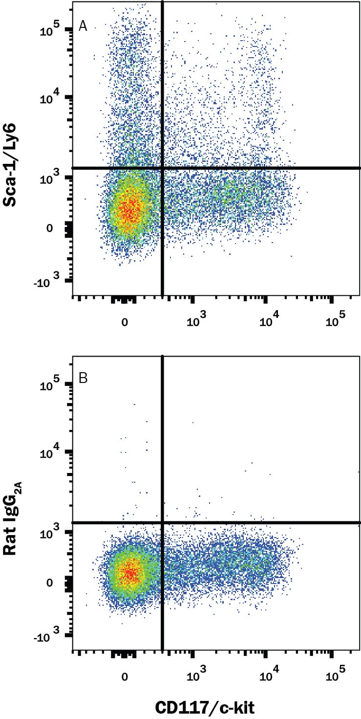 Detection of Sca‑1/Ly6 antibody in Mouse Splenocytes antibody by Flow Cytometry.