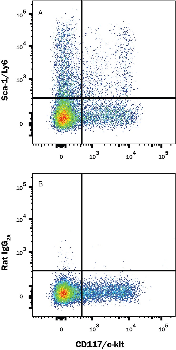 Detection of Sca‑1/Ly6 antibody in Mouse Splenocytes antibody by Flow Cytometry.