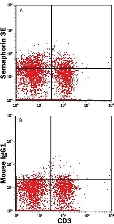 Detection of Semaphorin 3E antibody in Mouse Splenocytes antibody by Flow Cytometry.