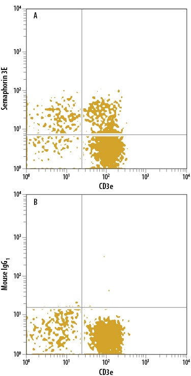 Detection of Semaphorin 3E antibody in Human PBMCs antibody by Flow Cytometry.