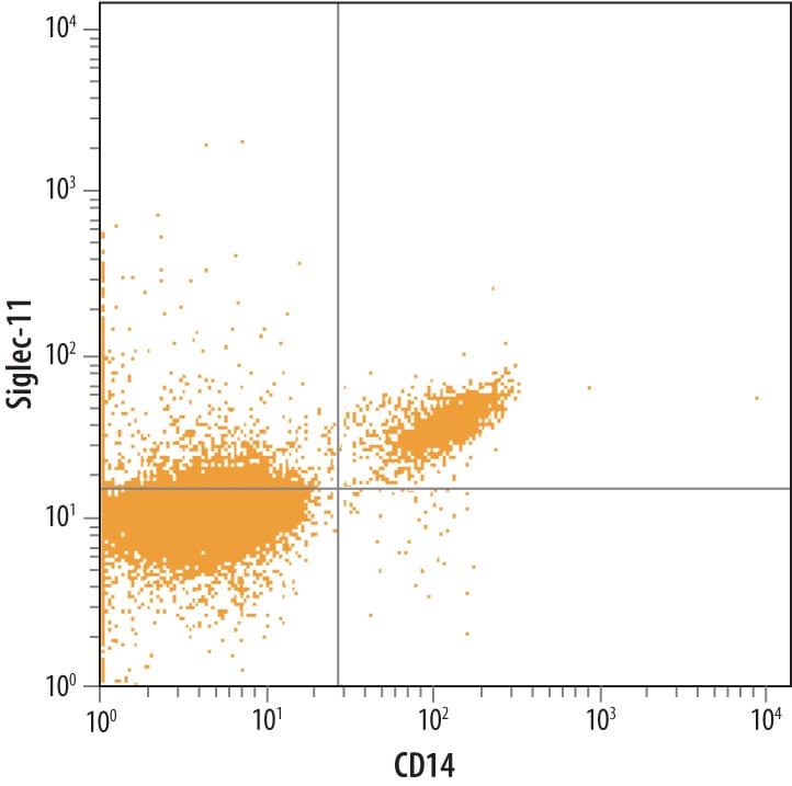 Detection of Siglec-11 antibody in Human PBMCs antibody by Flow Cytometry.