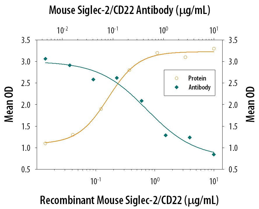 Cell Adhesion Mediated by Siglec‑2/CD22 and Neutral-ization by Mouse Siglec‑2/ CD22 Antibody.