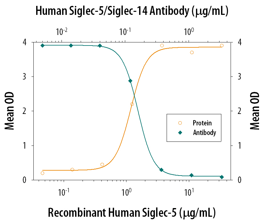 Cell Adhesion Mediated by Siglec‑5 and Neutralization by Human Siglec‑5/14 Antibody.
