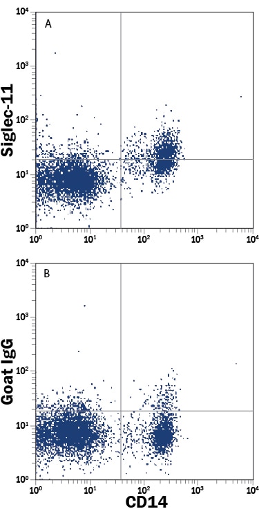 Detection of Siglec-11 antibody in Human Peripheral Blood Mononuclear Cell Monocytes and Granulocytes antibody by Flow Cytometry.