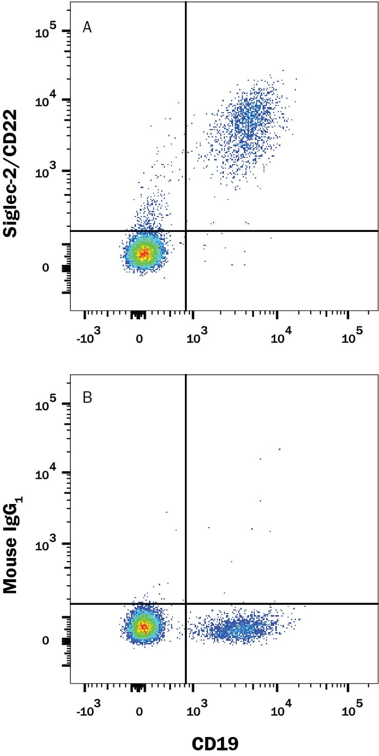 Detection of Siglec‑2/CD22 antibody in Human PBMCs antibody by Flow Cytometry.