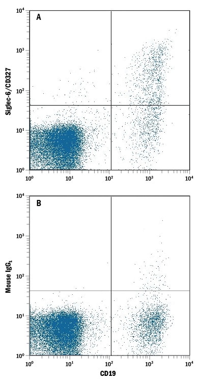 Detection of Siglec-6/CD327 antibody in Human PBMC lymphocytes antibody by Flow Cytometry.