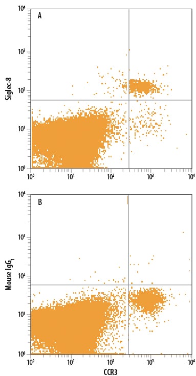 Detection of Siglec-8 antibody in Human Blood Granulocytes antibody by Flow Cytometry.