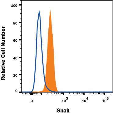 Detection of Snail antibody in A549 Human Cell Line antibody by Flow Cytometry.
