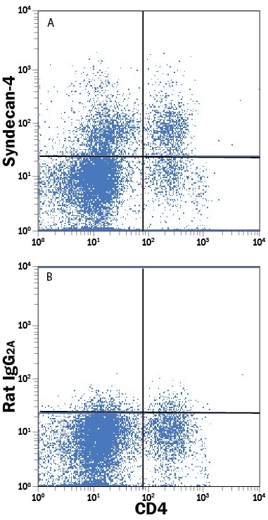 Detection of Syndecan-4 antibody in Activated Lymphocytes antibody in Human PBMCs antibody by Flow Cytometry.