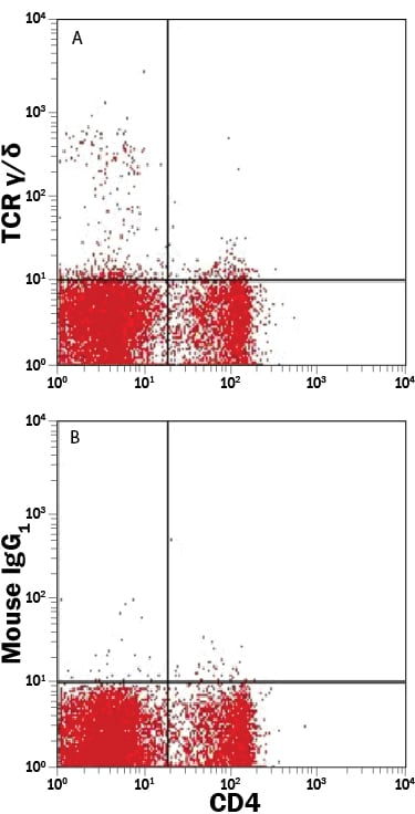 Detection of TCR ?/d antibody in Rat Splenocytes antibody by Flow Cytometry.