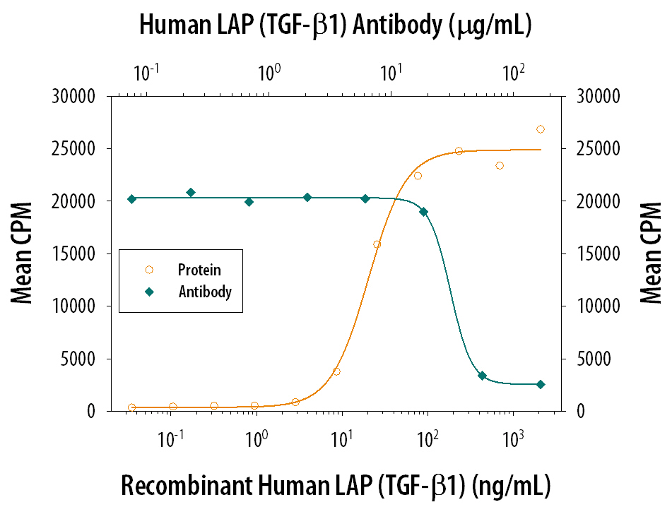 LAP TGF‑ beta 1 Inhibition of TGF‑ beta 1 Activity and Neutralization by Human LAP TGF‑ beta 1 Antibody.