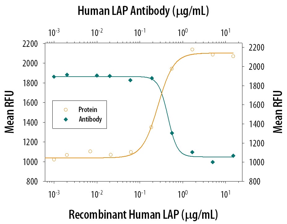 LAP TGF‑ beta 1 Inhibition of TGF‑ beta 1 Activity and Neutralization by Human LAP TGF‑ beta 1 Antibody.