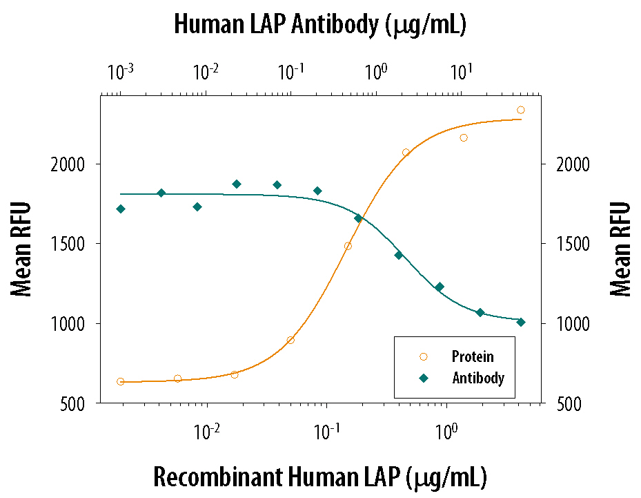 LAP TGF‑ beta 1 Inhibition of TGF‑ beta 1 Activity and Neutralization by Human LAP TGF‑ beta 1 Antibody.