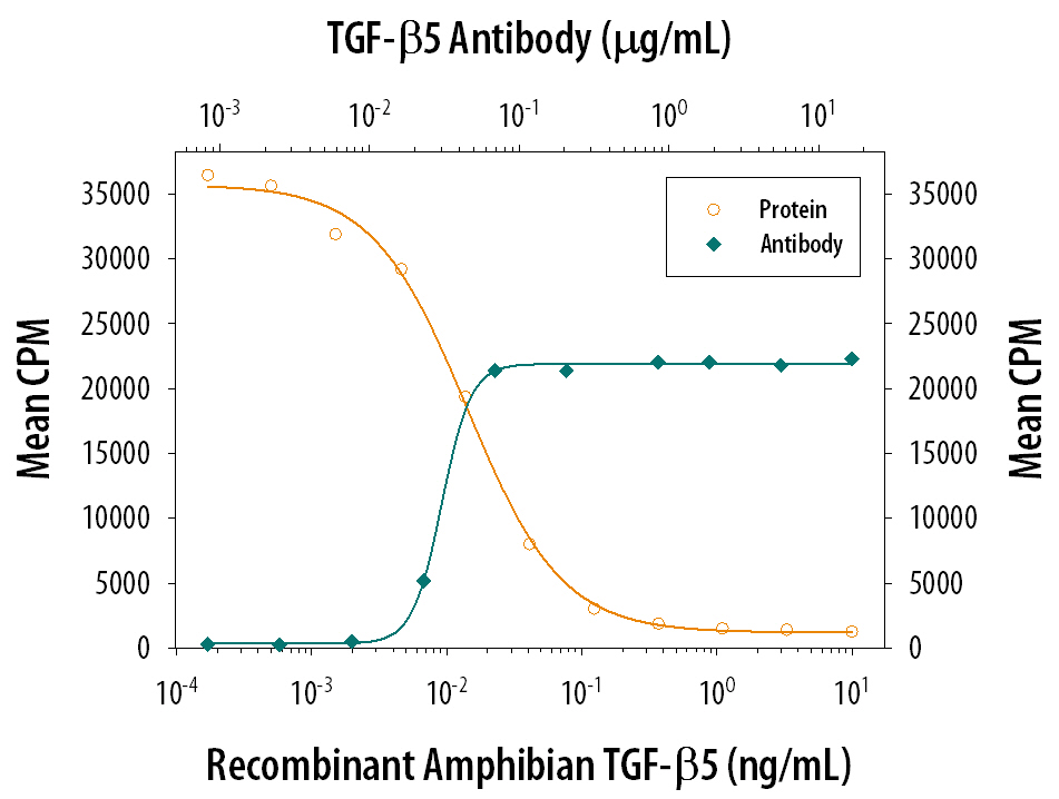 TGF‑ beta 5 Inhibition of IL‑4-dependent Cell Proliferation and Neutralization by TGF‑ beta 5 Antibody.