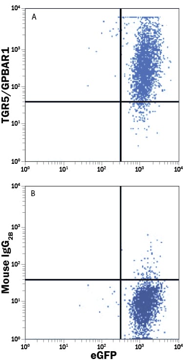 Detection of TGR5/GPBAR1 antibody in HEK293 Human Cell Line antibody by Flow Cytometry.