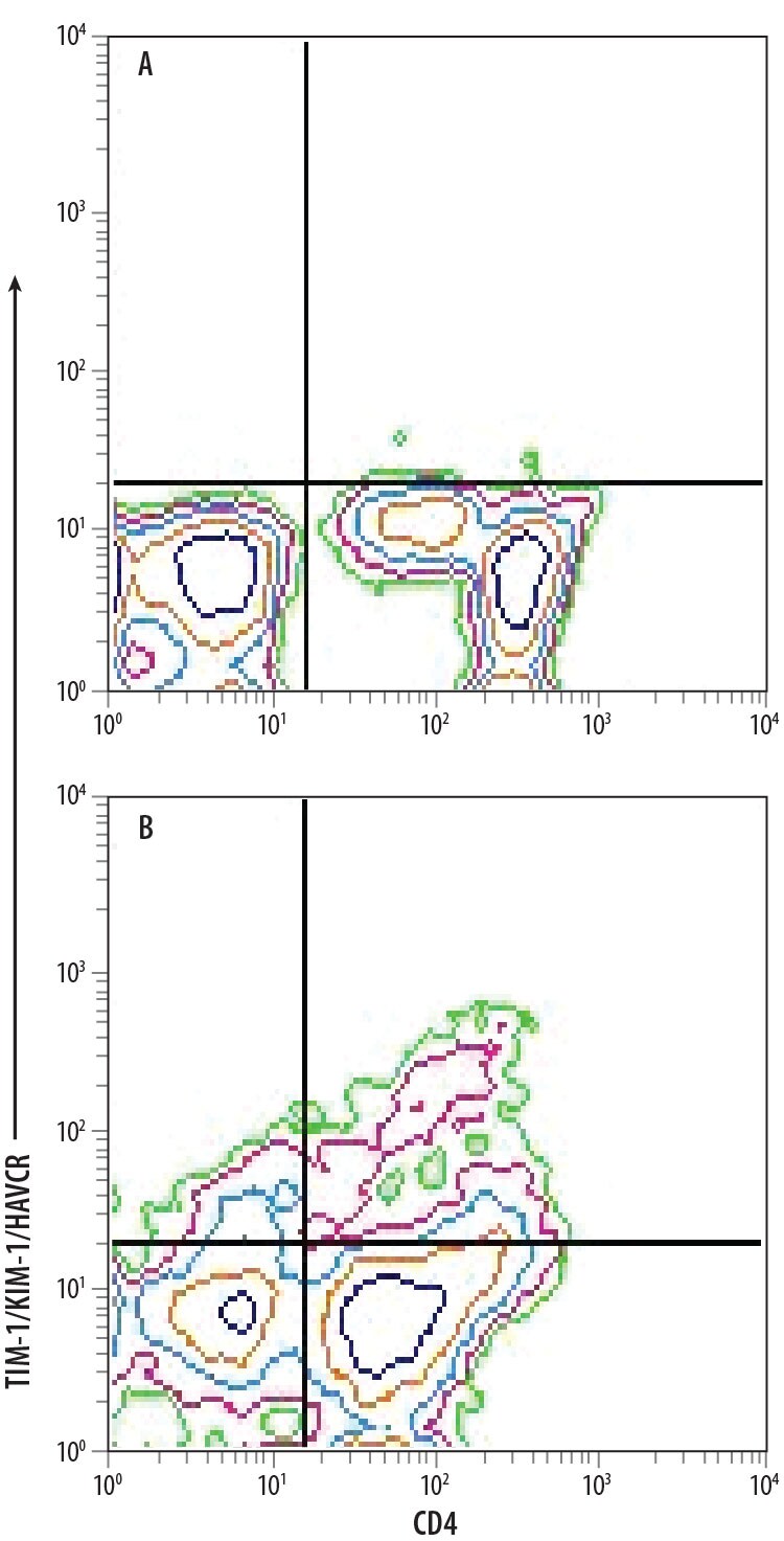Detection of TIM-1/KIM-1/HAVCR antibody in Th2-stimulated Human PBMCs antibody by Flow Cytometry.