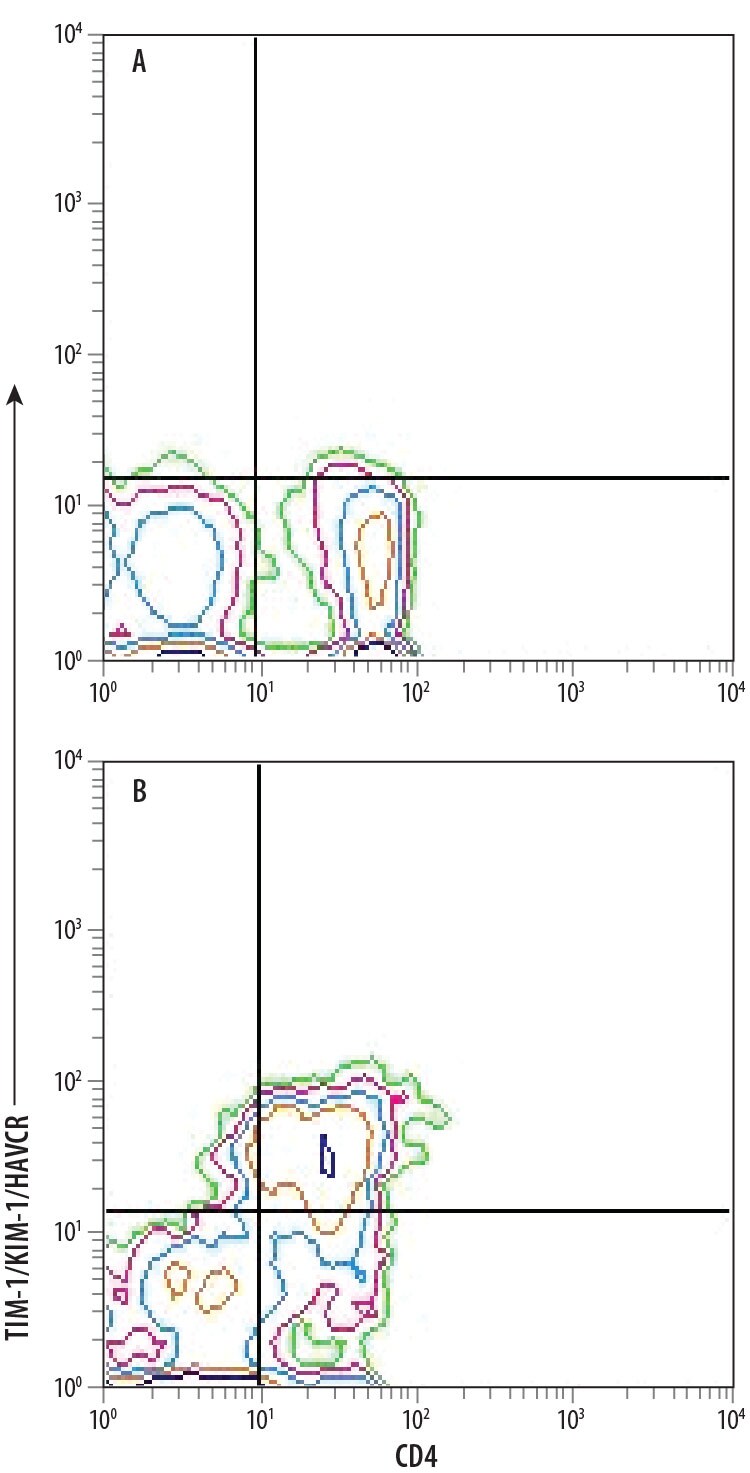 Detection of TIM-1/KIM-1/HAVCR antibody in Th2-stimulated Human PBMCs antibody by Flow Cytometry.