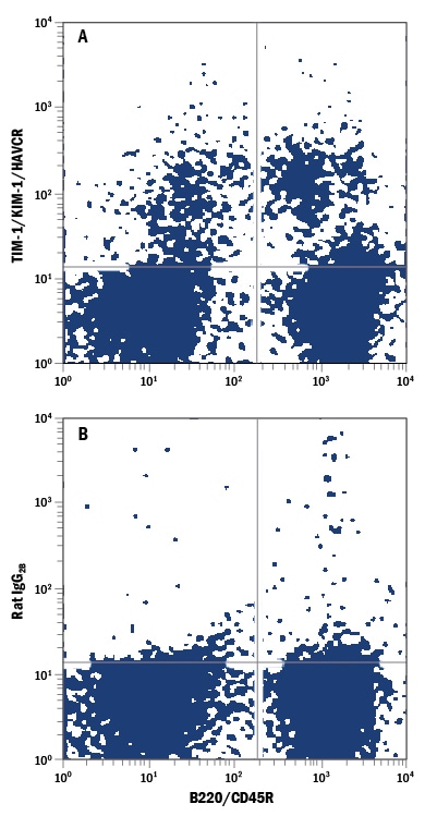 Detection of TIM-1/KIM-1/HAVCR antibody in Mouse Splenocytes antibody by Flow Cytometry.