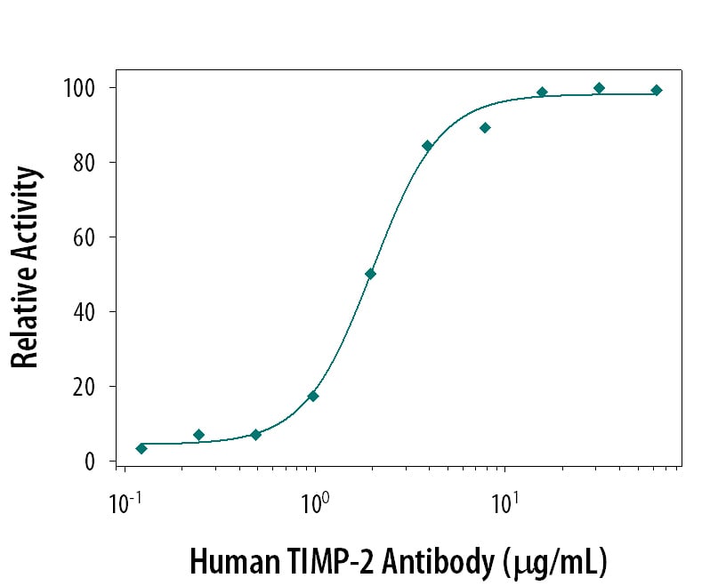Neutralization of TIMP‑2 Activity by Human TIMP‑2 Antibody.