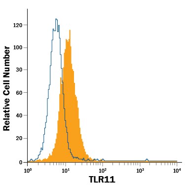Detection of TLR11 antibody in RAW 264.7 Mouse Cell Line antibody by Flow Cytometry.