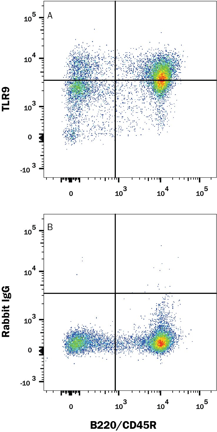 Detection of TLR9 antibody in Mouse Splenocytes antibody by Flow Cytometry.