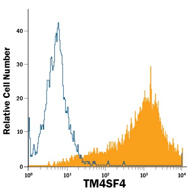 Detection of TM4SF4 antibody in HT‑29 Human Cell Line antibody by Flow Cytometry.