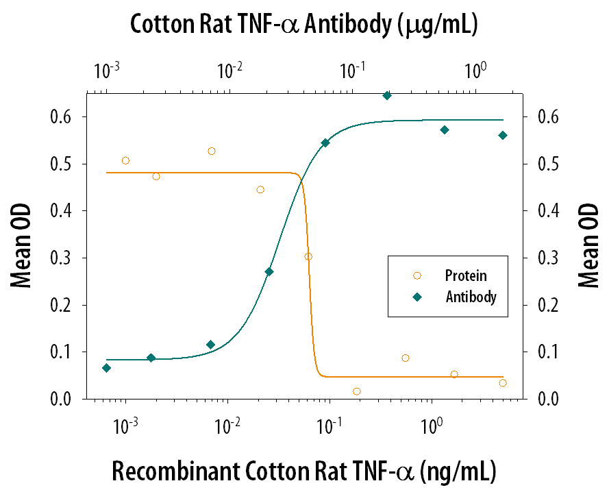 Cytotoxicity Induced by TNF‑ alpha  and Neutralization by Cotton Rat TNF‑ alpha  Antibody.