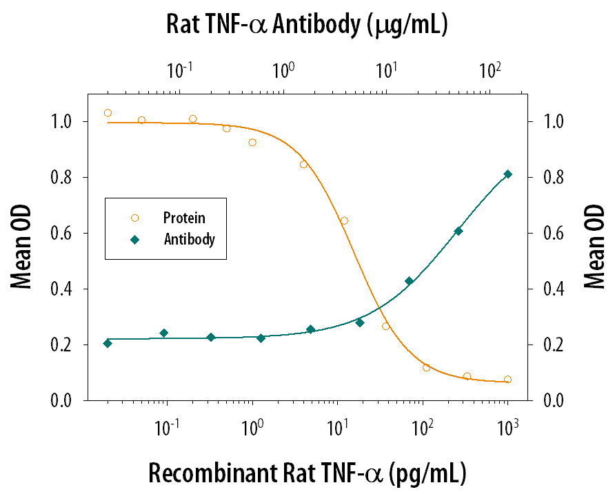 Cytotoxicity Induced by TNF‑ alpha  and Neutralization by Rat TNF‑ alpha  Antibody.