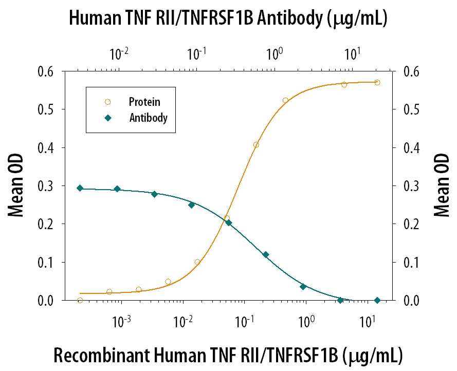 TNF RII/TNFRSF1B Inhibition of TNF‑ alpha -induced Cytotoxicity and Neutralization by Human TNF RII/TNFRSF1B Antibody.