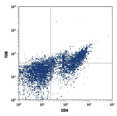 Detection of TOR antibody in Mouse Splenocytes antibody by Flow Cytometry.