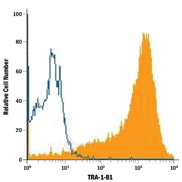 Detection of TRA-1-81 antibody in BG01V Human Cells antibody by Flow Cytometry.