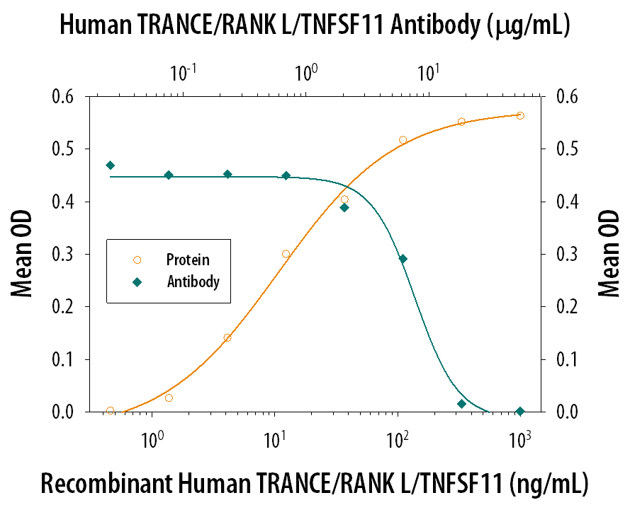 Osteoclast-like Cell Formation Induced by TRANCE/ TNFSF11/RANK L and Neutralization by Human TRANCE/TNFSF11/RANK L Antibody.