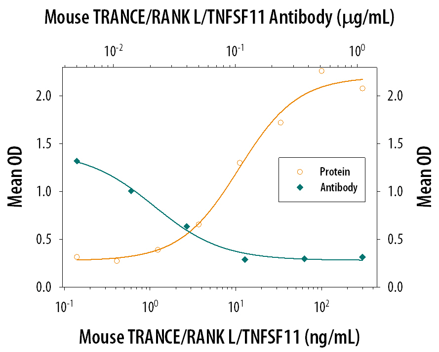 Osteoclast-like Cell Formation Induced by TRANCE/ TNFSF11/RANK L and Neutralization by Mouse TRANCE/TNFSF11/RANK L Antibody.