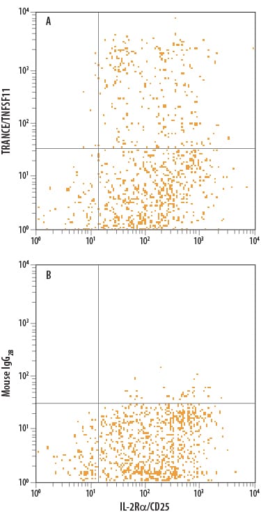 Detection of TRANCE/TNFSF11/RANK L antibody in Human PBMCs antibody by Flow Cytometry.