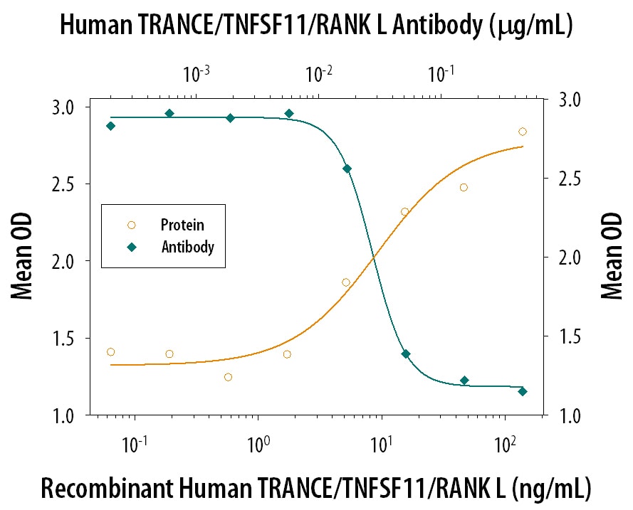 Osteoclast-Like Cell Formation Induced by TRANCE/TNFSF11/RANK L and Neutralization by Human TRANCE/TNFSF11/RANK L Antibody.