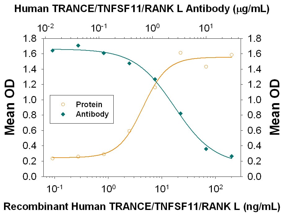 Osteoclast-Like Cell Formation Induced by TRANCE/TNFSF11/RANK L and Neutralization by Human TRANCE/TNFSF11/RANK L Antibody.