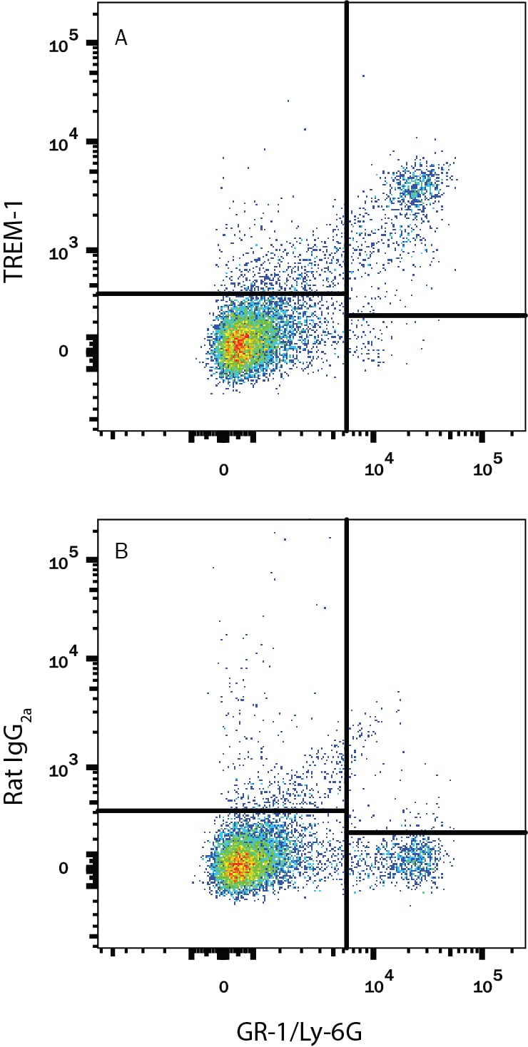 Detection of TREM-1 antibody in Mouse Splenocytes antibody by Flow Cytometry.