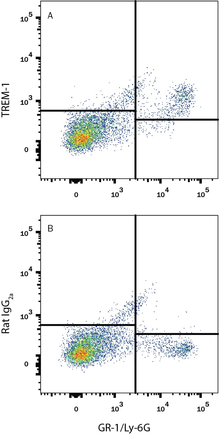 Detection of TREM-1 antibody in Mouse Splenocytes antibody by Flow Cytometry.