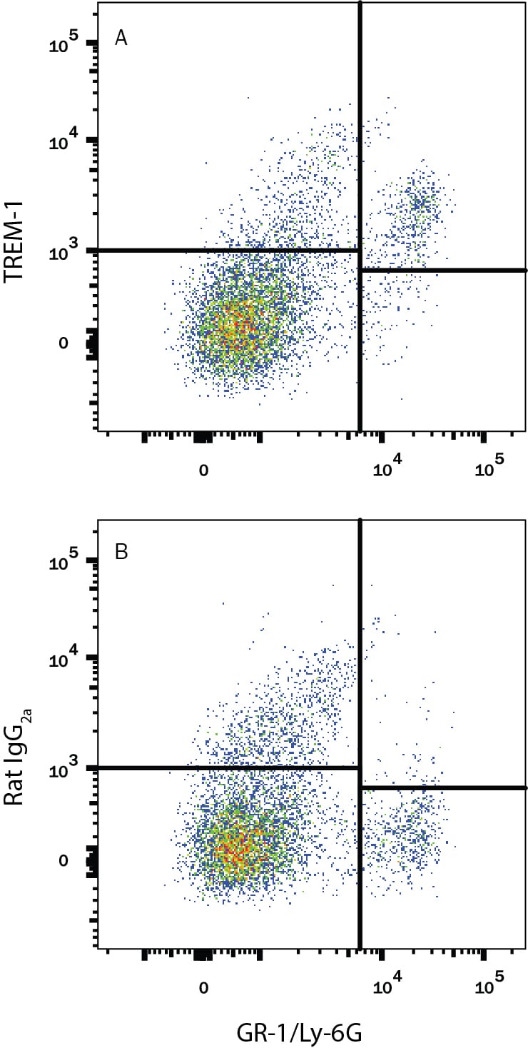 Detection of TREM-1 antibody in Mouse Splenocytes antibody by Flow Cytometry.