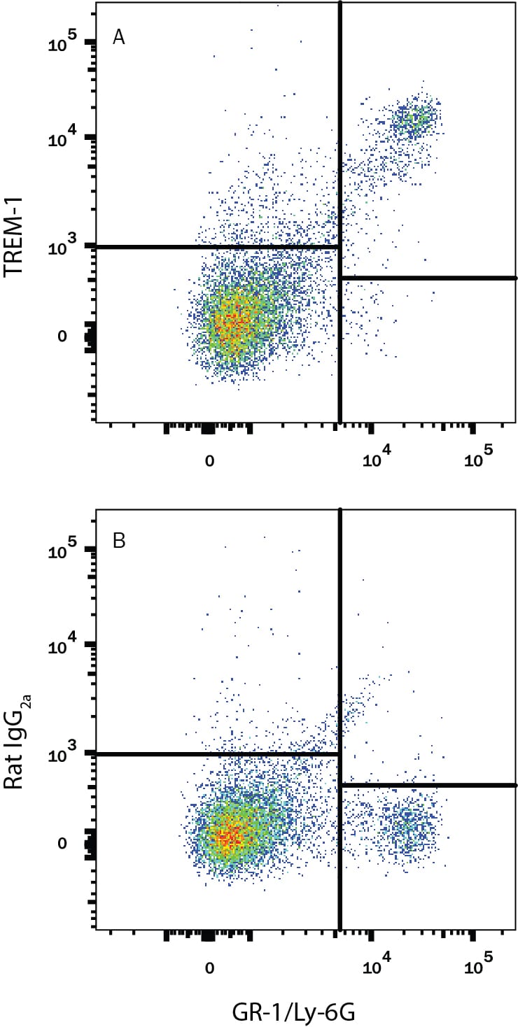 Detection of TREM-1 antibody in Mouse Splenocytes antibody by Flow Cytometry.