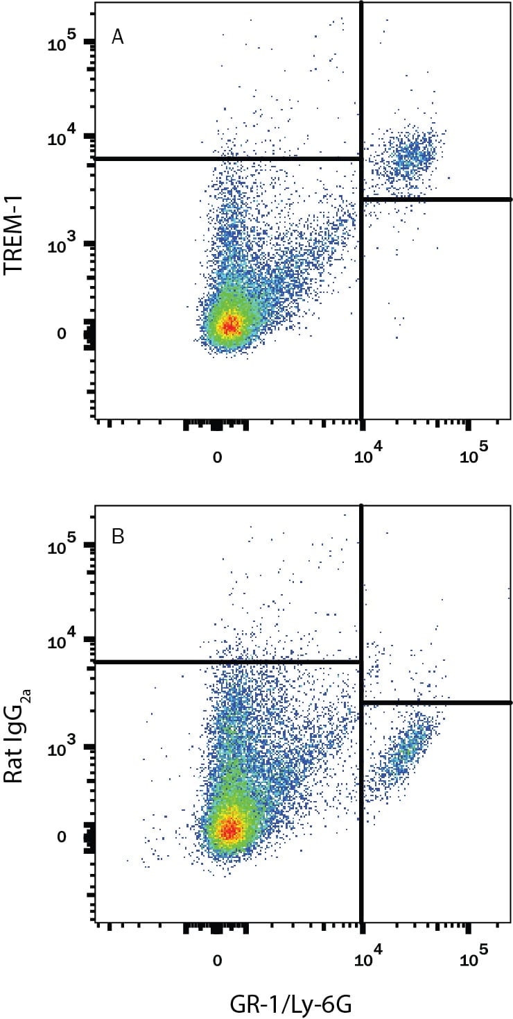 Detection of TREM-1 antibody in Mouse Splenocytes antibody by Flow Cytometry.