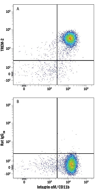 Detection of TREM‑2 antibody in Human PBMCs antibody by Flow Cytometry.
