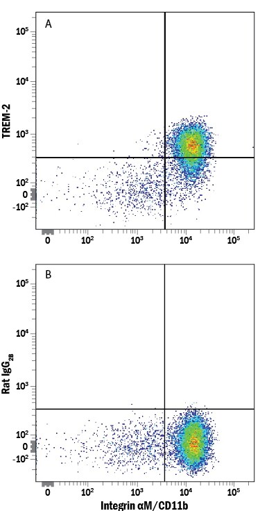 Detection of TREM‑2 antibody in Human PBMCs antibody by Flow Cytometry.
