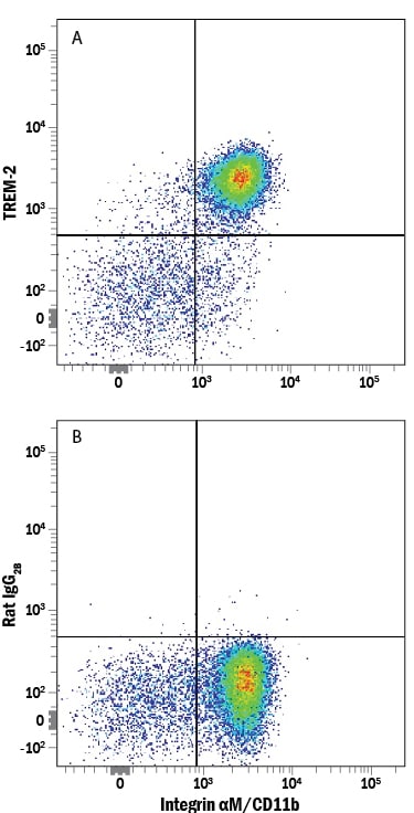 Detection of TREM‑2 antibody in Human PBMCs antibody by Flow Cytometry.