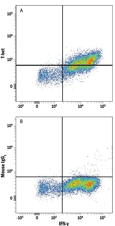 Detection of T-bet/TBX21 antibody in CD4+Human PBMCs Stimulated to Induce Th1 Cells antibody by Flow Cytometry.