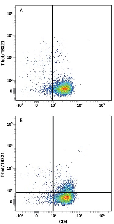 Detection of T‑bet/TBX21 antibody in Human PBMCs Stimulated to Induce Th1 Cells antibody by Flow Cytometry.