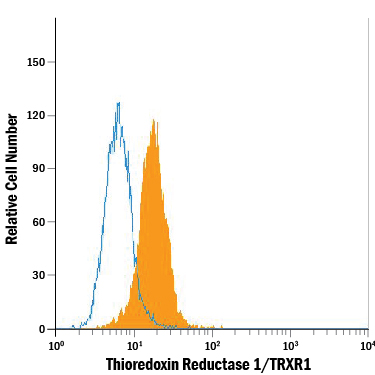 Detection of Thioredoxin Reductase 1/TRXR1 antibody in HeLa Human Cell Line antibody by Flow Cytometry.