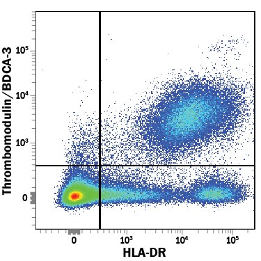 Detection of Thrombomodulin/BDCA-3 antibody in Human PBMCs antibody by Flow Cytometry.